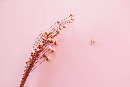 云南省成人高考答案瘋傳，估分不理想？還能不能絕地反擊？