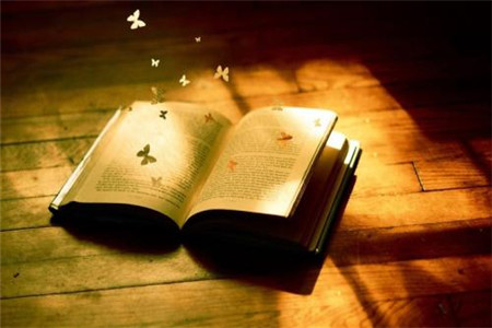 云南成考網(wǎng)