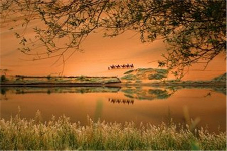 2020年楚雄州成人高考報名時間