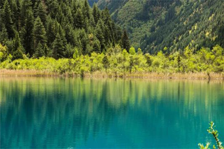 2019年云南省成人高考數(shù)學(xué)最佳答題順序