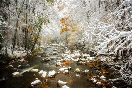 云南成人高考錄取率是多少？