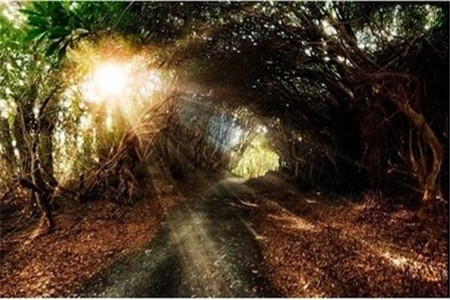 云南成人高考錄取報到需要攜帶哪些證件?