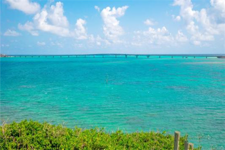 【專升本考生】2020年云南成人高考報(bào)名現(xiàn)場(chǎng)確認(rèn)材料要帶什么？