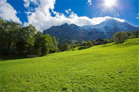 怎樣可以提高云南成人高考調劑錄取的成功率？