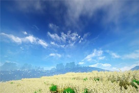 【云南財(cái)經(jīng)大學(xué)】成人高考“常青樹”專業(yè)是？