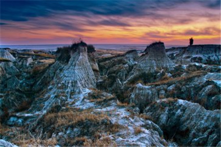 震驚！聽說云南成考以后會被取消？