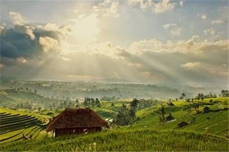 【云南財(cái)經(jīng)大學(xué)】成人高考可以申請幾次學(xué)士學(xué)位？