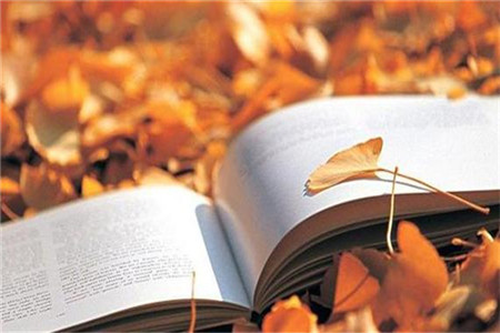 小白問：云南財經大學成人高考王牌專業是哪個？難嗎？