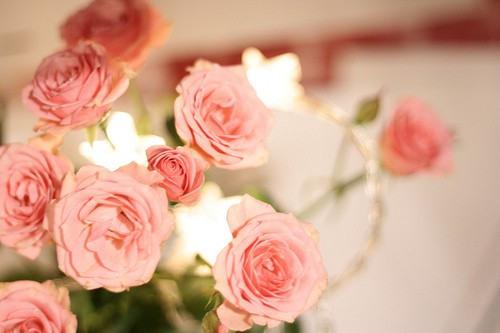 云南成人高考為什么要實行網(wǎng)上報名呢?