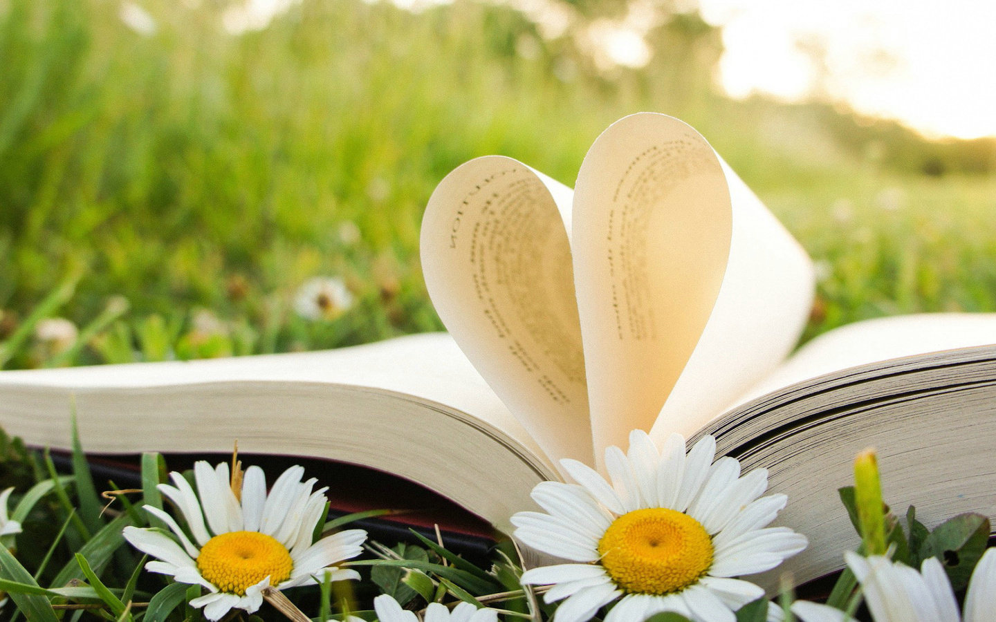 云南成人高考報(bào)名