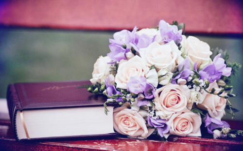 云南成考網上報名方法