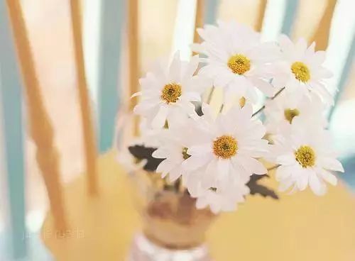 云南成人高考報(bào)名