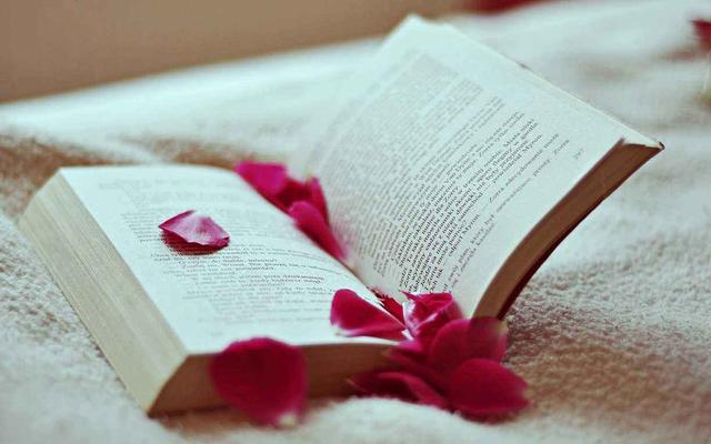 云南成人高考報名