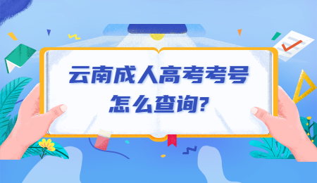 云南成人高考考號怎么查詢?