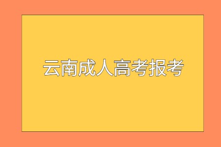 云南成人高考報考