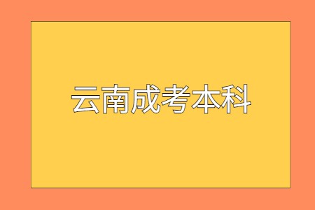 云南成考本科