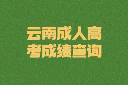 云南成人高考成績查詢