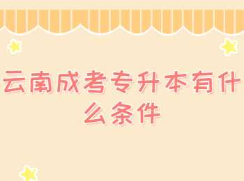 云南成考專升本