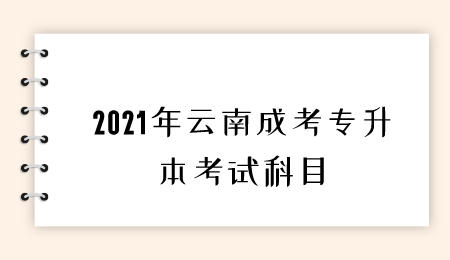云南成考專升本