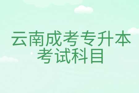 云南成考專升本