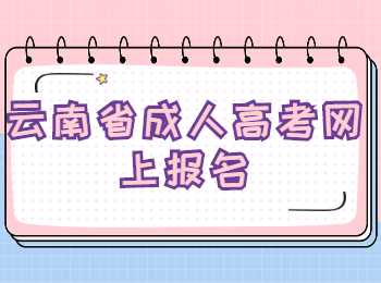 云南省成人高考