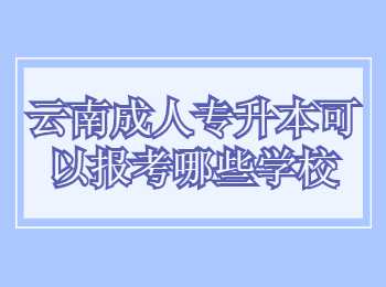 云南成人專升本