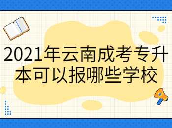 云南成考專升本