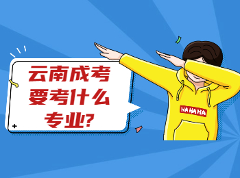 云南成考要考什么專業(yè)?