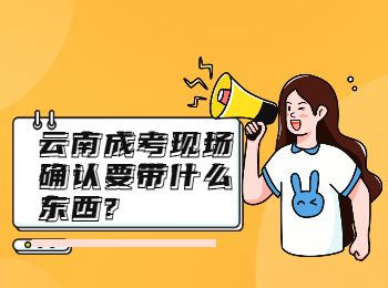 云南成考現(xiàn)場確認要帶什么東西?