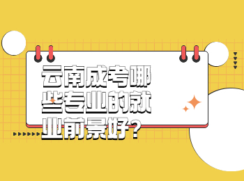 云南成考哪些專業(yè)的就業(yè)前景好?
