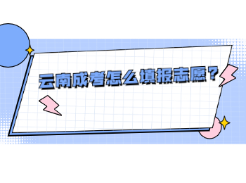 云南成考怎么填報志愿?