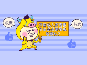 云南成考 云南成人高考現(xiàn)場確認