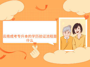 云南成考 云南成考學歷驗證