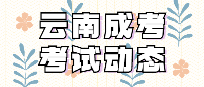 云南成人高考考試動態