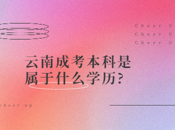 云南成考網 云南成考本科學歷