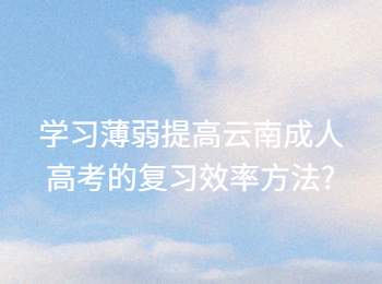 云南成考 云南成考提高復習的學習方法