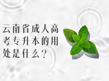 云南成考網(wǎng) 云南專升本的用處