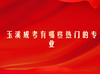玉溪成考 玉溪成考專業