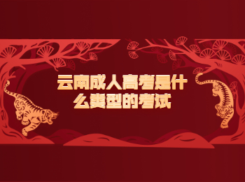 云南成人高考考試類型