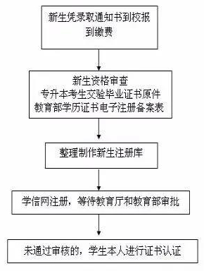 云南省成考學籍