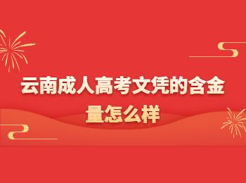 云南成人高考文憑