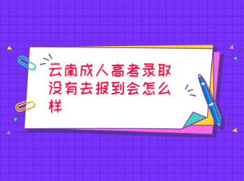 云南成考 云南成人高考錄取