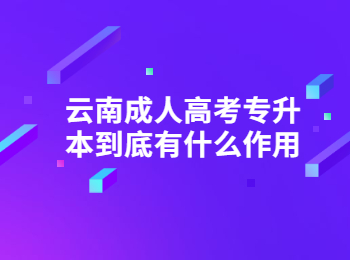 云南成教 云南成人高考專升本