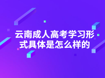云南成考 云南成人高考學習形式