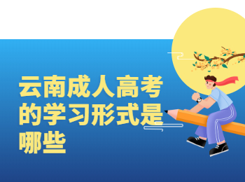 云南成考學習形式