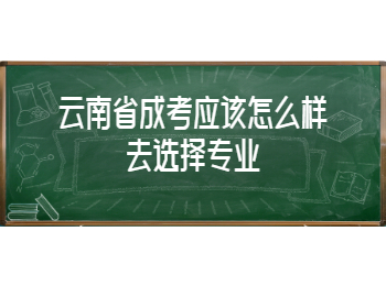 云南省成考選擇專業(yè)