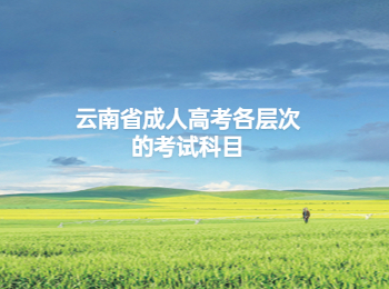 云南省成人高考考試科目