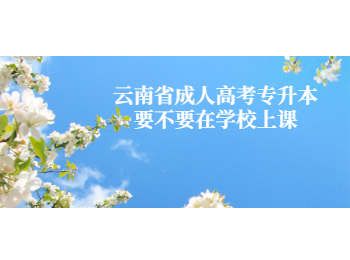 云南省成考專升本上課
