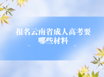云南省成考報名材料