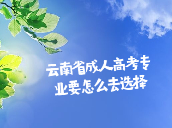 云南省成人高考專業